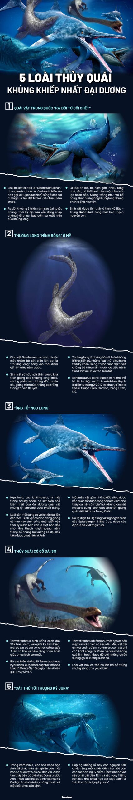 Lộ diện 5 loài quái vật khủng khiếp nhất đại dương- Ảnh 1.