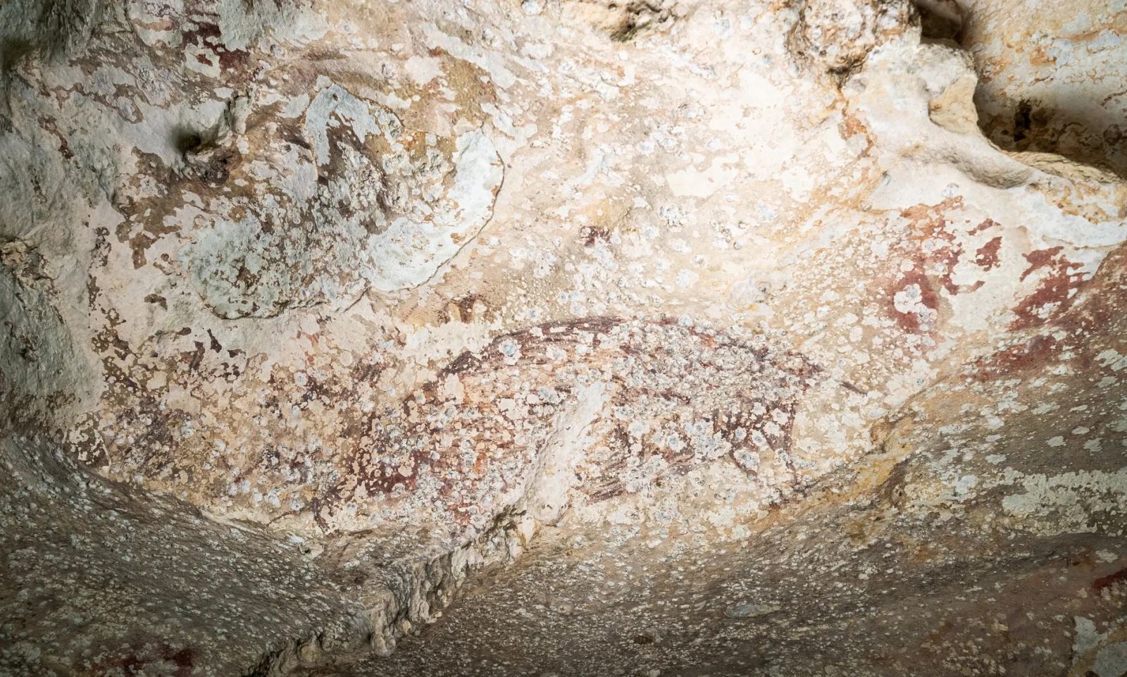 Phát hiện tác phẩm nghệ thuật lâu đời nhất thế giới trong hang động ở Indonesia- Ảnh 1.